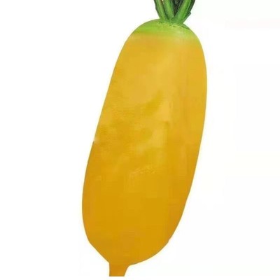 黄长蔓菁种子黄皮蔓菁芜菁萝卜四季耐高温甜面抗病蔬菜黄萝卜种J