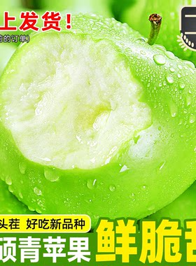 华硕青苹果水果新鲜应当季丑萍果果园直发现摘苹果脆甜多汁皮薄