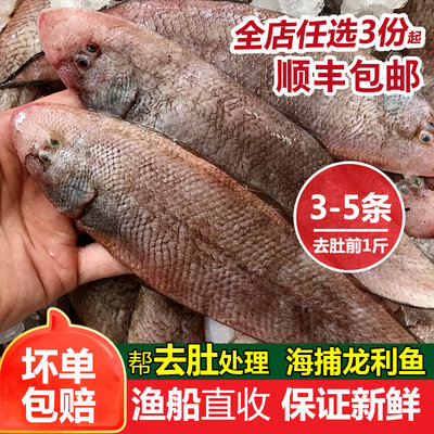 龙利鱼新鲜冷冻潮汕海鲜水产非龙利柳巴沙鱼无骨鱼片辅食材龙舌鱼