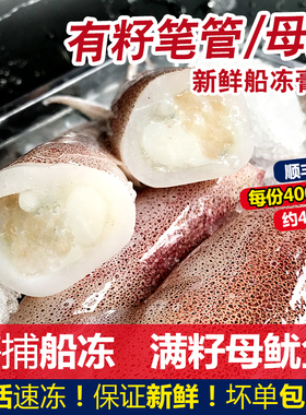带籽鱿鱼新鲜海兔子乌贼小管鲜活冷冻小鱿鱼墨鱼仔满籽母鱿鱼400g