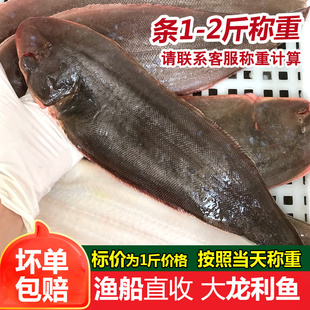 超大龙利鱼新鲜冷冻潮汕海鲜水产非巴沙鱼柳鱼片辅食鱼海捕龙舌鱼