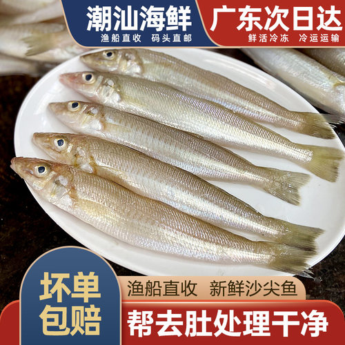 沙尖鱼潮汕海鱼，顺丰配送