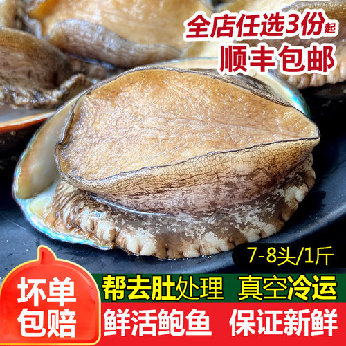 鲍鱼鲜活冷冻一份处理前500g