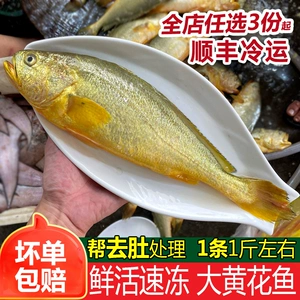 Большой желтый кроман свежие замороженные морепродукты и водные продукты.