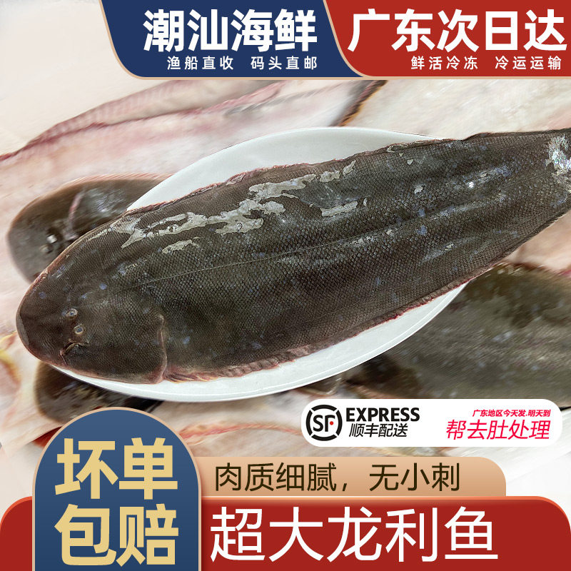 超大龙利鱼新鲜冷冻潮汕海鲜水产非巴沙鱼柳鱼片辅食鱼海捕龙舌鱼