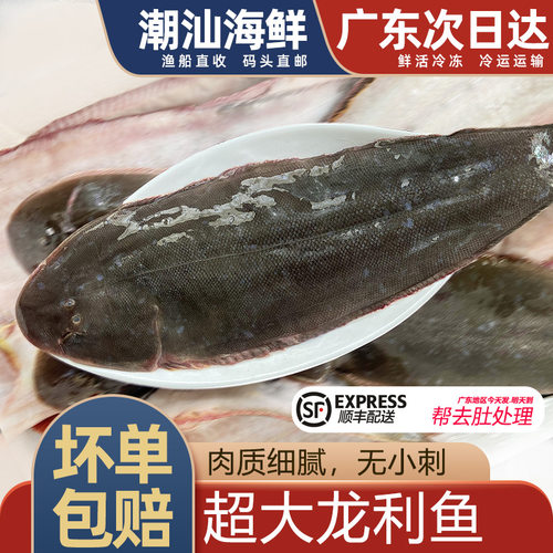 正宗潮汕超大龙利鱼，一份一条
