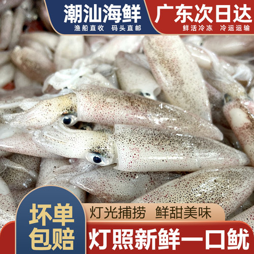 灯照小鱿鱼新鲜一口鱿500g，400g