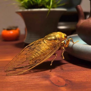 知了悦变金蝉摆件复古昆虫摆件送礼客厅家用旺财摆件招财茶宠饰品