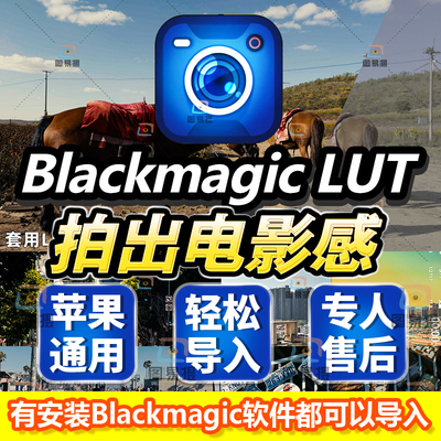 Blackmagic Camera LUT苹果调色素材下载AppleLog电影Lut滤镜预设