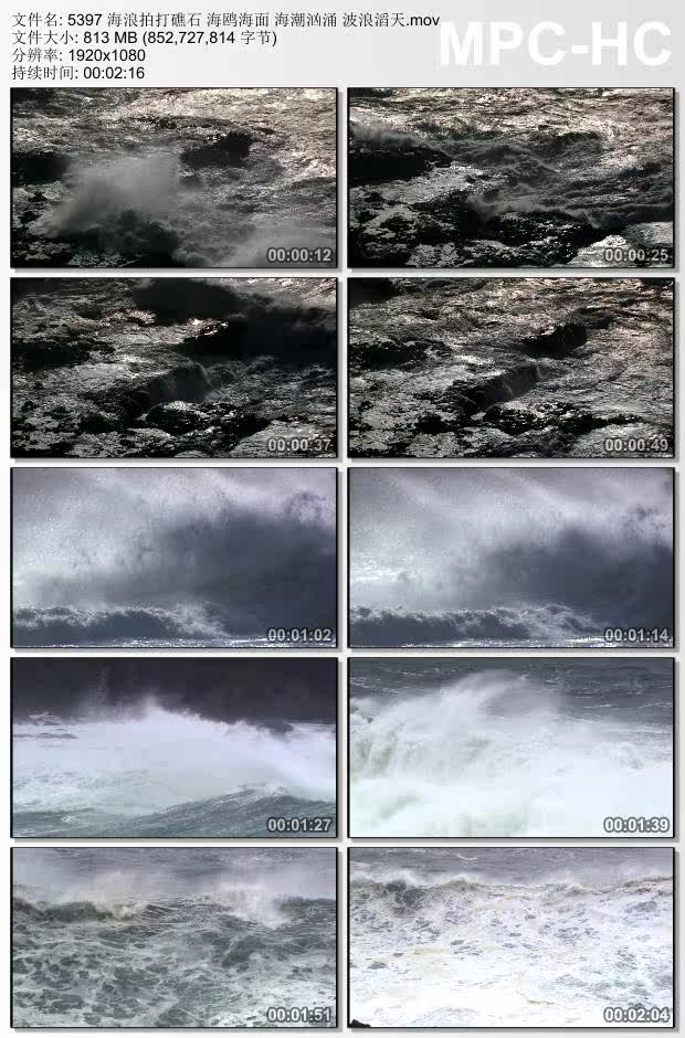 海浪拍打礁石海鸥海面视频 海潮汹涌 波浪滔天 高清视频素材