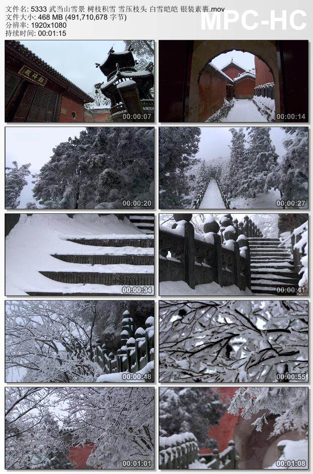 武当山雪景树枝积雪雪压枝头实拍 白雪皑皑银装素裹 实拍视频素材