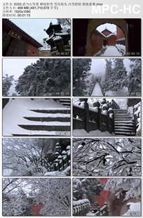 武当山雪景树枝积雪雪压枝头实拍 白雪皑皑银装素裹 实拍视频素材