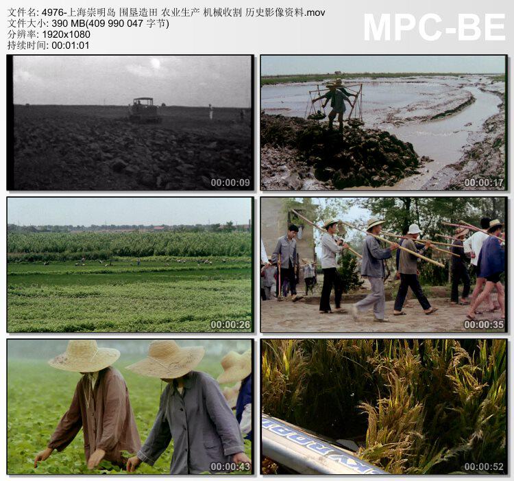 上海崇明岛围垦造田 农业生产 机械收割 历史影像 高清视频素材