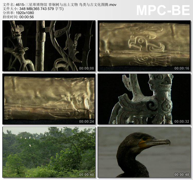 三星堆博物馆青铜树与出土物件鸟类与古文化图腾 实拍视频素材