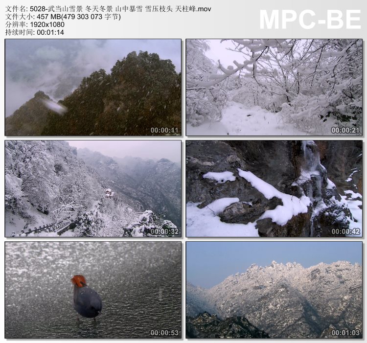武当山雪景 冬天冬景山中暴雪 雪压枝头天柱峰 实拍动态视频素材