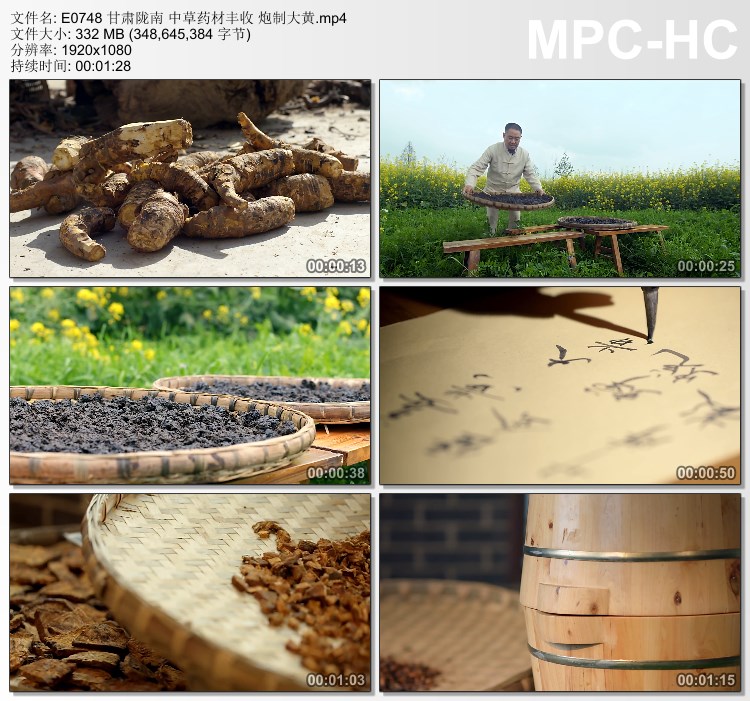 甘肃陇南中草药材丰收视频 炮制大黄 实拍视频剪辑素材