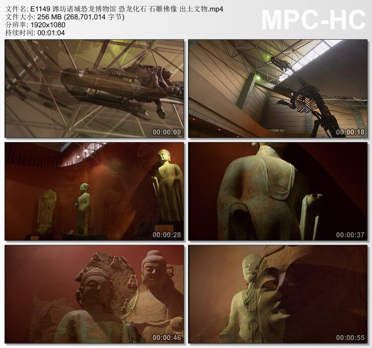 潍坊诸城恐龙博物馆恐龙化石 石雕佛像出土物件 实拍视频素材