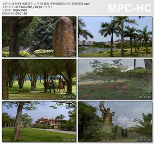 福建厦门大学陈嘉庚 华侨创建大学 美丽校 高清实拍视频素材1080