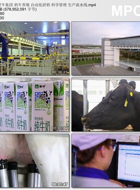 奶牛养殖自动化挤奶科学管理素材实拍 生产流水线 实拍视频素材