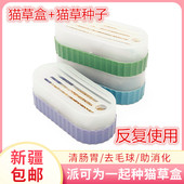 只发新疆一起种猫草种子无土水培盆栽成幼猫咪吐毛球懒人猫薄荷