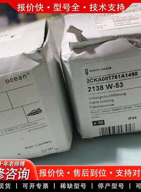 可维修BUSCH JAER 2138 W-53线缆穿线管，议价