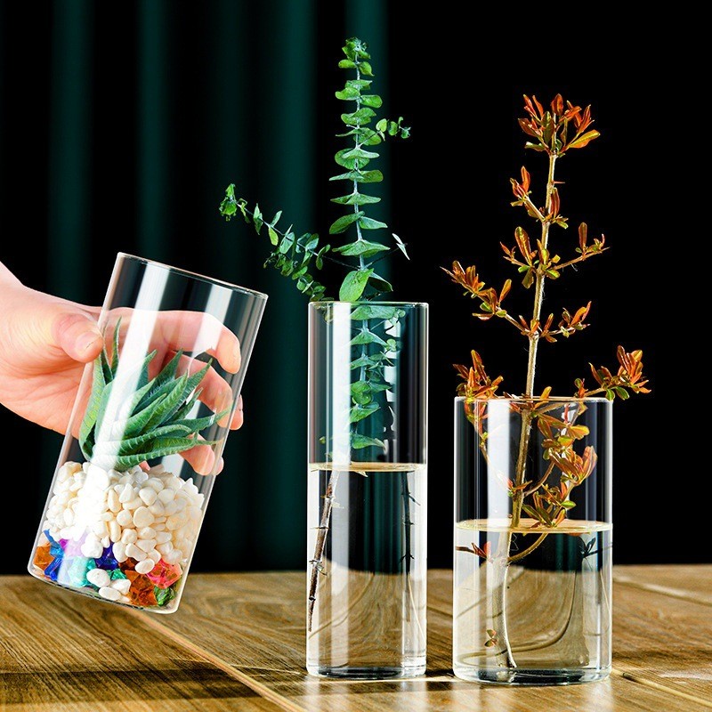 高硼硅直筒玻璃花瓶绿萝小鱼缸插花器水培景观花盆花瓶玻璃摆件