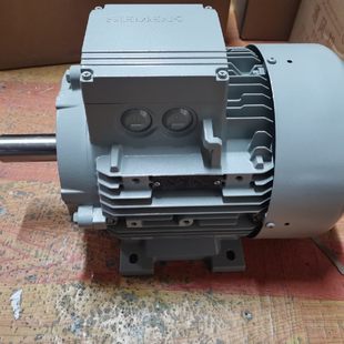 5.5KW 4AA10 1LA7130 4AA11 卧式 德国西门子进口电机