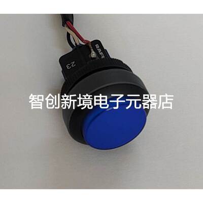 RAFIX 22 FS蓝色平面安钮开关银色前圈2NO银触点持续动作