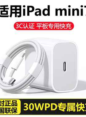 适用苹果iPad平板mini7充电器线