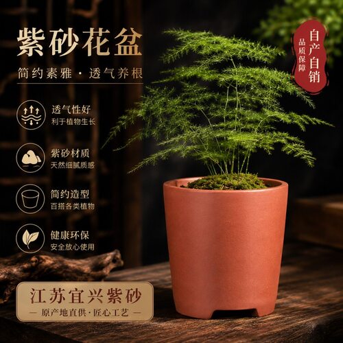 圆柱兰花盆紫砂花盆陶瓷花盆特大兰花盆室内办公桌面盆栽菖蒲绿萝