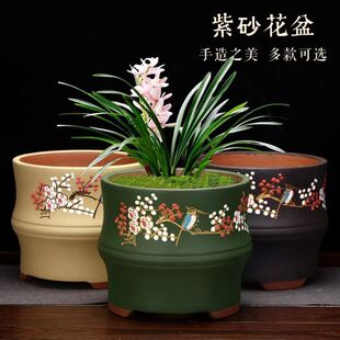 精品紫砂君子兰文竹兰花盆室内室外阳台客厅门庭摆件装饰花盆