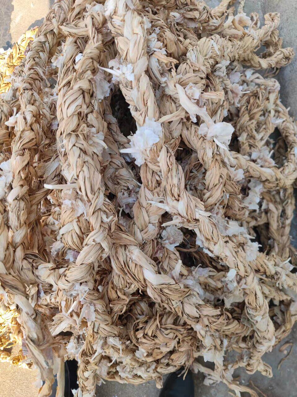 农家新鲜晒干蒜辫子蒜茎梗杆子大蒜苗蒜颈干净散装入药泡澡泡脚