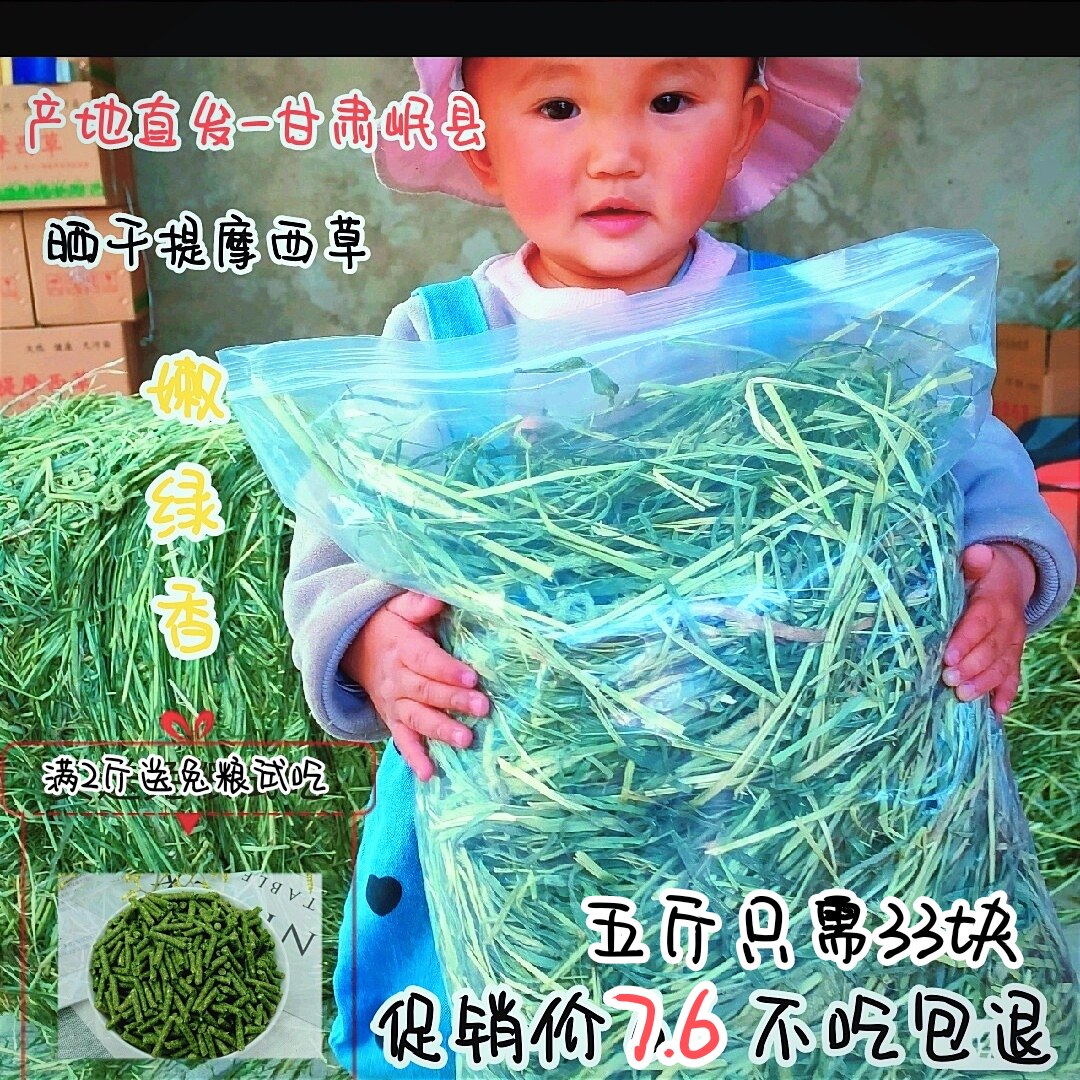 23年晒干提摩西草兔子龙猫仓鼠荷兰猪干草饲料兔粮牧草5斤33包邮