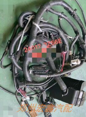 郑州产；帅客发动机线束总成 编号24012-2ZS6E 不分新老款 原厂