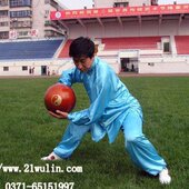 重45斤 全为一体 太极球器械：太极球实心 木质为纯枣木