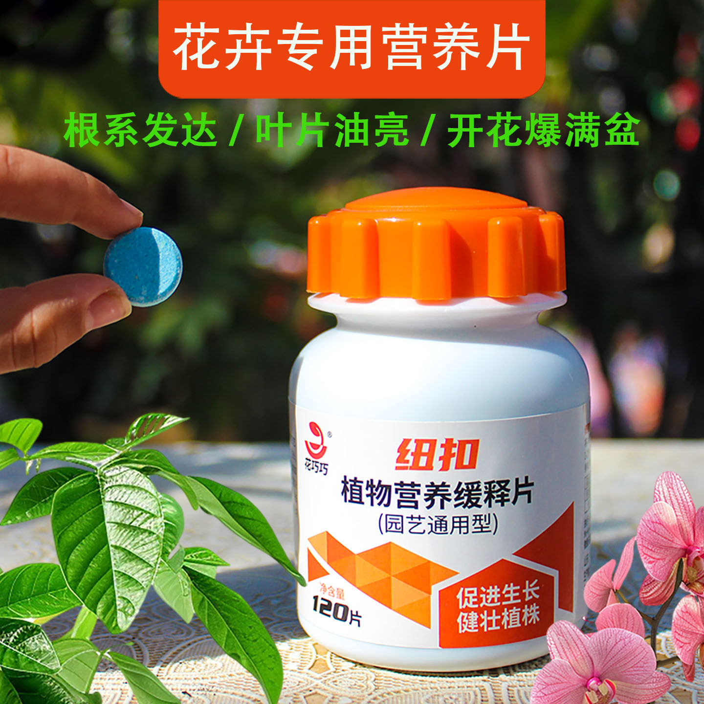 植物营养缓释片通用三角梅幸福树