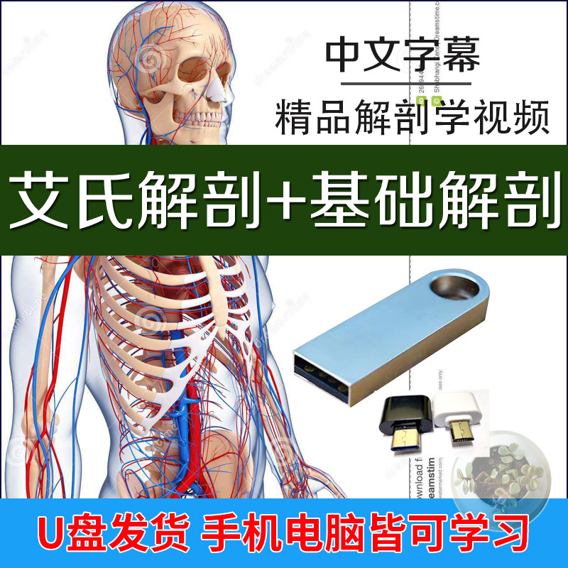 车载U盘艾氏解剖德国基础解剖学教学视频解剖学经典教程大体解剖