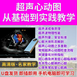 U盘超声心动图教学视频零基础入门超声波成像原理重症心脏解剖