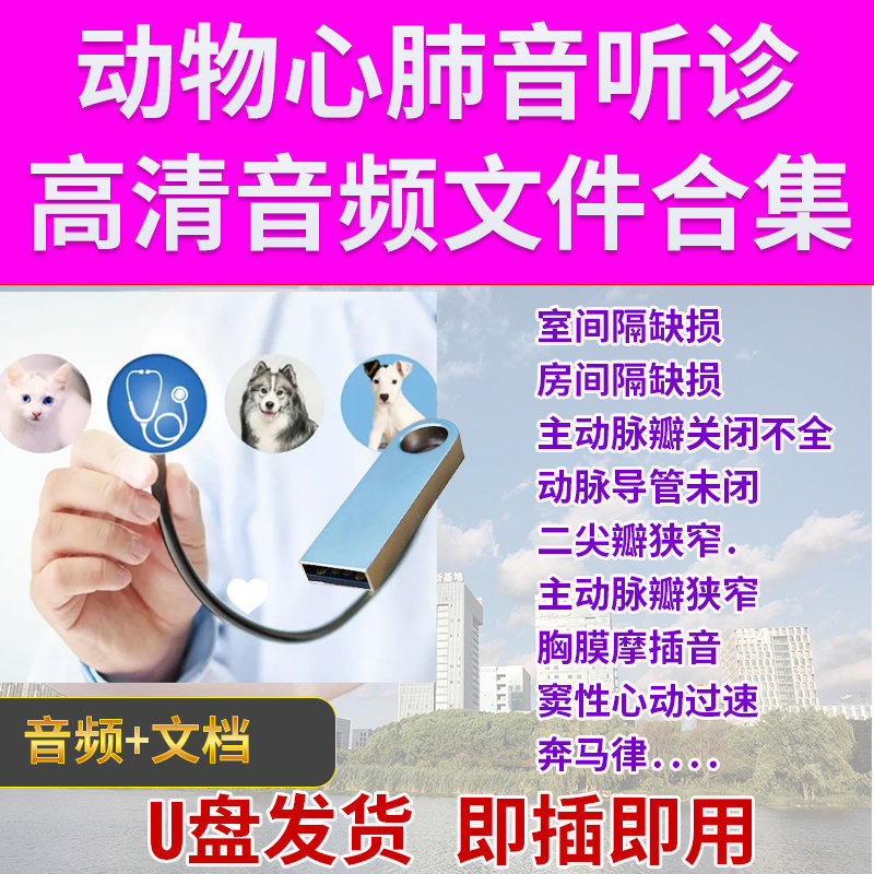 U盘动物心肺音听诊教学牛马羊猪狗猫宠物家畜动物心音听诊文件