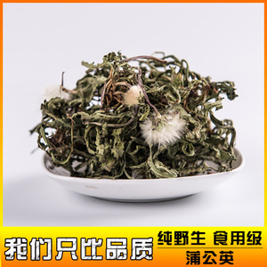新晒野生干浦蒲公英茶整株颗棵带根 婆婆丁 去肝火痘痘  新货一斤