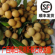顺丰包邮广西新鲜石硖龙眼水果当季现摘现发当季甜鲜桂圆5斤整箱