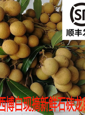 新鲜水果当季现摘现发石硖龙眼