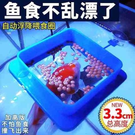 鱼缸喂食器鱼儿喂食圈小型鱼孔雀鱼投食圈漂浮鱼粮食饲料投喂圈