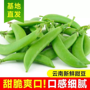 带壳食用云新鲜甜豆现摘现发甜豆角农家种植时令蔬菜包邮