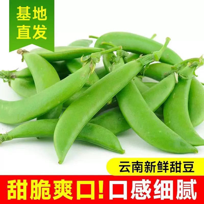 农家自种包邮新鲜甜豆现摘现发