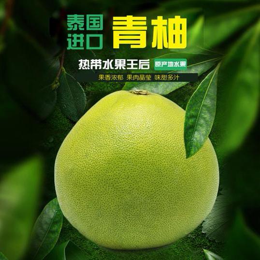 泰国青柚新鲜水果当季进口热带白糖柚子青皮白心蜜柚时令大果包邮