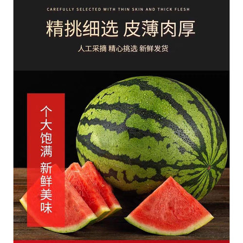 正宗冰糖麒麟西瓜超甜西瓜应季无籽有籽现摘整箱新鲜水果