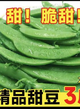 新鲜甜豆现摘现发农家自种