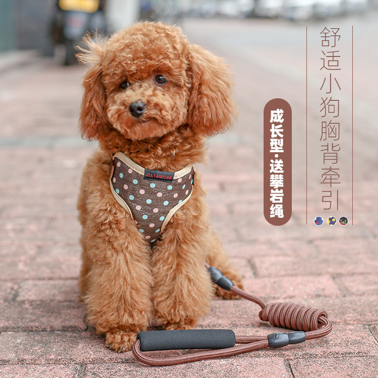 泰迪博美比熊宠物狗狗牵引绳胸背带背心式狗绳链子幼犬小型犬用品