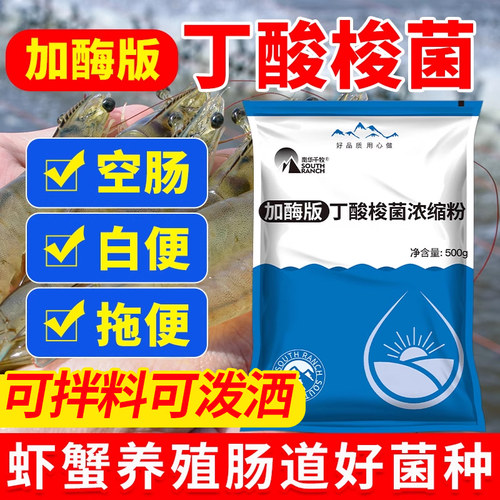 水产养殖调节肠道白便丁酸梭菌